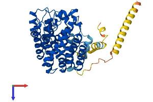 FDFT1 Protein (AA 1-416) (His tag)