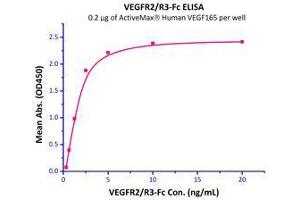 Immobilized  Human VEGF165  at 2 μg/mL can bind VEGFR2/R3-Fc with a linear range of 0.