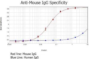 ELISA results of purified Rabbit anti-Mouse IgG Antibody (min x Human Serum Proteins) tested against purified Mouse IgG. (Kaninchen anti-Maus IgG (Heavy & Light Chain) Antikörper - Preadsorbed)