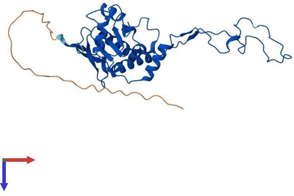 MRPL4 Protein (AA 1-294) (His tag)