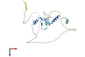 PINX1 Protein (AA 1-332) (His tag)