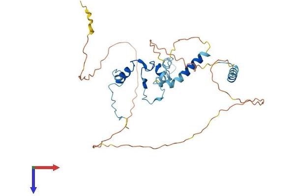 PINX1 Protein (AA 1-332) (His tag)