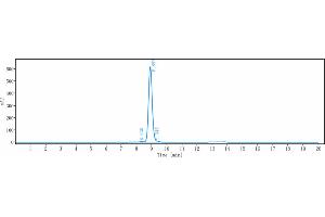 anti-TNFRSF4 (Telazorlimab Biosimilar) antibody
