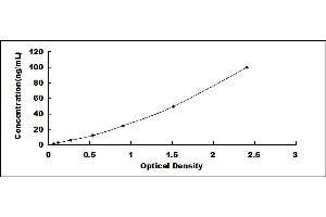 SCD ELISA Kit