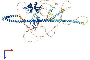 HGS Protein (AA 1-777) (His tag)