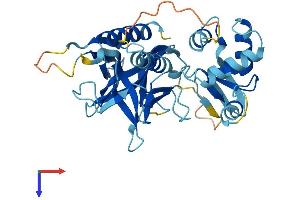 Pleckstrin Protein (PLEK) (AA 1-350) (His tag)