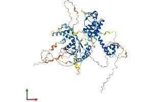 AlphaFold protein structure predicition of Human Recombinant RAD17 Protein, UniprotID O75943 (RAD17 Protein (RAD17) (AA 1-681) (His tag))