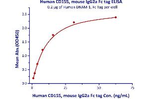 Image no. 2 for Poliovirus Receptor (PVR) (AA 21-343) (Active) protein (Fc Tag) (ABIN4949085)