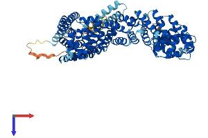 Tetratricopeptide Repeat Domain 12 (TTC12) (AA 1-704) protein (His tag)