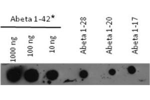 beta(1-42) consists of both monomeric and partly aggregated mtrl
