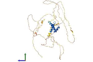 Protein Structure (PS) image for Iroquois Homeobox Protein 2 (IRX2) (AA 1-474) protein (His tag) (ABIN7556742)