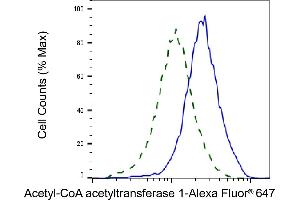 Validation of Acetyl-CoA acetyltransferase 1 knockdown using flow cytometry. (Rekombinanter ACAT1 Antikörper)