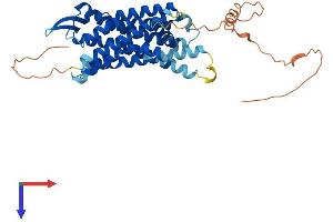 GALR2 Protein (AA 1-387) (His tag)