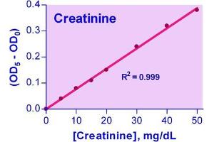 Biochemical Assay (BCA) image for Creatinine Assay Kit (ABIN1000259)