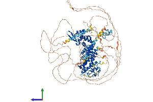AlphaFold protein structure predicition of Mouse Recombinant Rc3h1 Protein, UniprotID Q4VGL6
