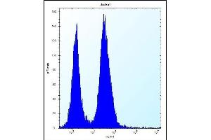 SSR2 Antibody (C-term) (ABIN657094 and ABIN2846252) flow cytometric analysis of Jurkat cells (right histogram) compared to a negative control cell (left histogram). (SSR2 Antikörper  (C-Term))