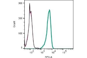 Cell surface detection of PAR1 by indirect flow cytometry in live intact mouse P815 mastocytoma cell line: + goat-anti-rabbit-FITC.