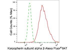 Flow cytometric analysis of karyopherin subunit alpha 2 expression in HepG2 cells using karyopherin subunit alpha 2 antibody (ABIN7800945), 1:2,000). (Rekombinanter Importin Subunit alpha-1 (KPNA2) Antikörper)