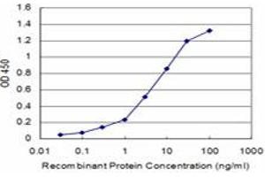 ELISA image for anti-D Site of Albumin Promoter (Albumin D-Box) Binding Protein (DBP) (AA 226-325) antibody (ABIN560571)