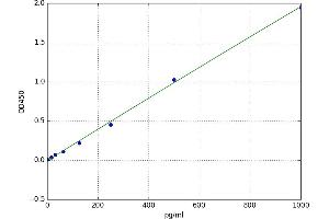 A typical standard curve