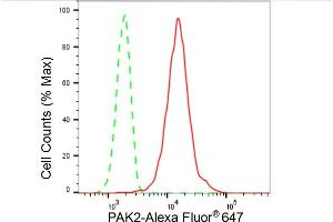 Flow cytometric analysis of PAK2 expression in HT- cells using PAK2 antibody (ABIN7799719), 1:2,000). (Rekombinanter PAK2 Antikörper)