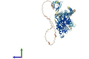 Protein Structure (PS) image for Kinesin Family Member 2C (KIF2C) (AA 1-721) protein (His tag) (ABIN7560239)