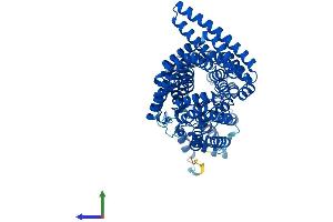 Protein Structure (PS) image for Tetratricopeptide Repeat Domain 30B (TTC30B) (AA 1-665) protein (His tag) (ABIN7544904)