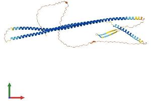 Protein Structure (PS) image for Keratin 14 (KRT14) (AA 1-484) protein (His tag) (ABIN7557737)