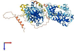 RPS6KA2 Protein (AA 1-733) (His tag)