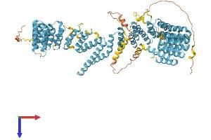 XAB2 Protein (AA 1-855) (His tag)