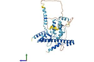 Protein Structure (PS) image for DnaJ (Hsp40) Homolog, Subfamily B, Member 14 (DNAJB14) (AA 1-379) protein (His tag) (ABIN7556970)