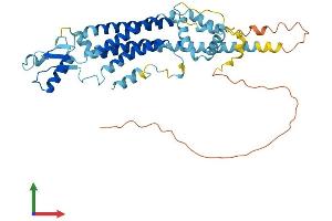 AlphaFold protein structure predicition of Human Recombinant PANX1 Protein, UniprotID Q96RD7