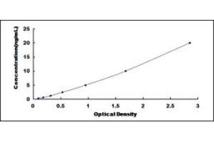 Typical standard curve (PAFAH2 ELISA Kit)