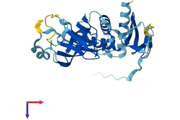 EXOSC2 Protein (AA 1-293) (His tag)