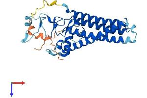 AlphaFold protein structure predicition of Human Recombinant ZDHHC3 Protein, UniprotID Q9NYG2
