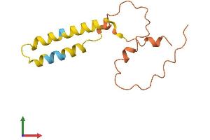 AlphaFold protein structure predicition of Mouse Recombinant Prr9 Protein, UniprotID Q8BV84 (PRR9 Protein (AA 1-116) (His tag))