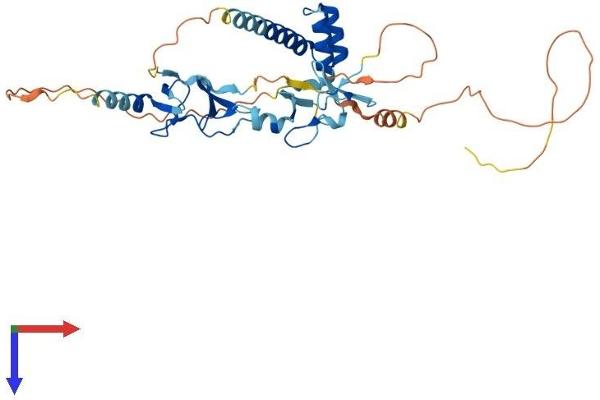 ISL2 Protein (AA 1-359) (His tag)