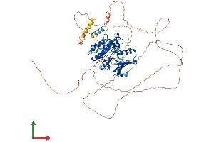 Protein Structure (PS) image for NUAK Family, SNF1-Like Kinase, 1 (NUAK1) (AA 1-661) protein (His tag) (ABIN7554818)
