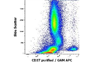Flow cytometry surface staining pattern of human peripheral whole blood stained using anti-human CD37 (MB-1) purified antibody (concentration in sample 0,2 μg/mL, GAM APC). (CD37 Antikörper)