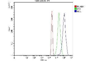 Flow Cytometry analysis of HL-60 cells using anti-NCL antibody (ABIN7600662).