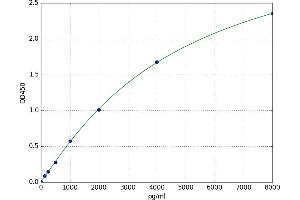 CD200 (CD200) ELISA Kit