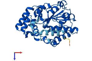 SULT6B1 Protein (AA 1-303) (His tag)