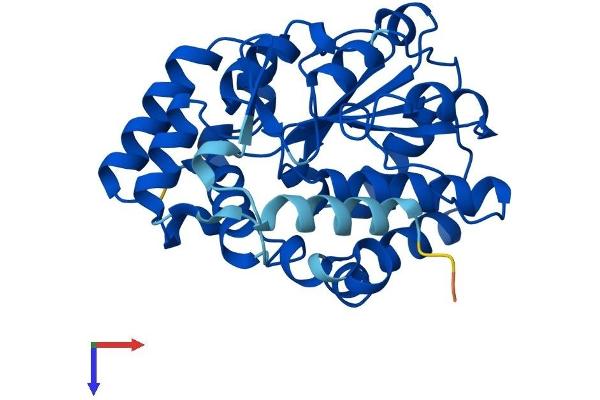 SULT6B1 Protein (AA 1-303) (His tag)