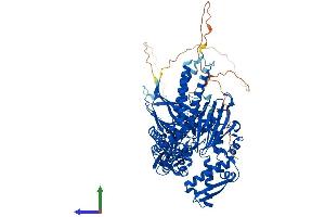 Protein Structure (PS) image for Heat Shock 70kDa Protein 4-Like (HSPA4L) (AA 1-838) protein (His tag) (ABIN7563321)