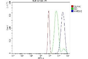 Flow Cytometry analysis of RH35 cells using anti-MEK2/MAP2K2 antibody (ABIN7599404).