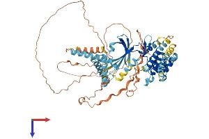 EIF2AK1 Protein (AA 1-619) (His tag)