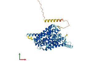 Protein Structure (PS) image for Solute Carrier Family 7 (Cationic Amino Acid Transporter, Y+ System), Member 5 (SLC7A5) (AA 1-512) protein (His tag) (ABIN7565267)