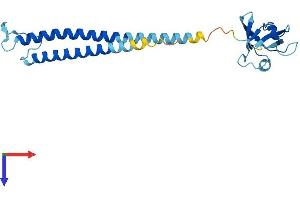 PSMD9 Protein (AA 1-222) (His tag)