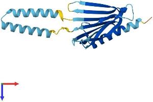 PIGH Protein (AA 1-188) (His tag)