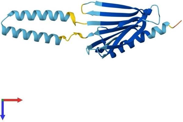 PIGH Protein (AA 1-188) (His tag)